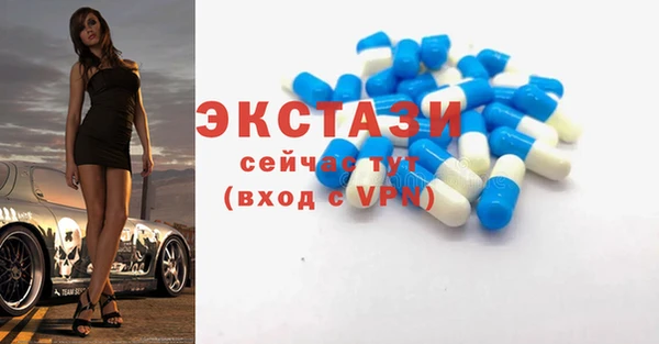 ECSTASY Богданович